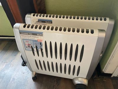 1 radiateur électrique d'appoint.