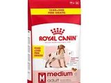 royal canin medium adult dry dog food