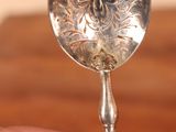 a silver spoon with a flower on it being held by a hand