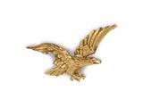 an image of a gold eagle brooch on a white background