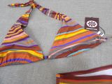 striped bikini with tie around the neck and a matching bikini bottom