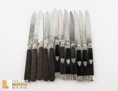 12 couteaux, lames en argent poids brut : 610g - Photo 1