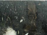 Photo 4/7 du lot