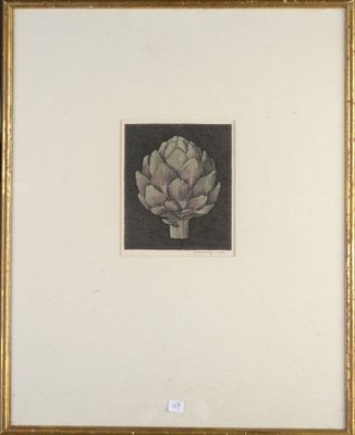 an image of a picture of an artichut in a gold frame