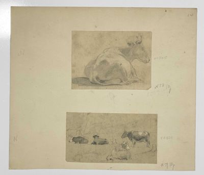 deux photos d'une vache couchée et d'une vache couchée