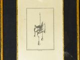 a picture of a framed picture of a horse and a bird