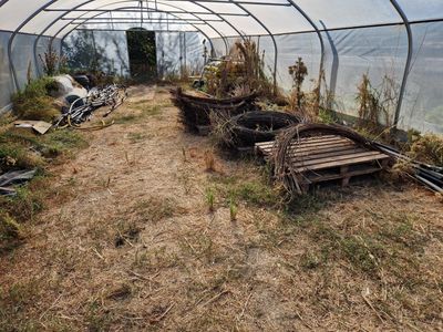 de nombreuses plantes poussant à l'intérieur d'une serre au bord de la route