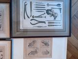 a picture of a picture of a collection of kitchen utensils hanging on a wall
