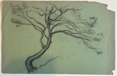 Jos Henri PONCHIN (1897 - 1981), "Étude d'arbre".