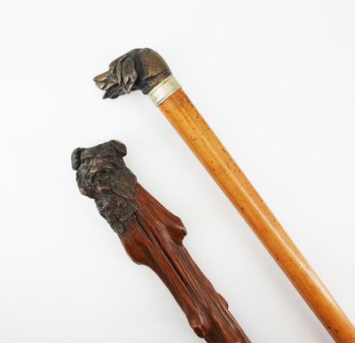 une image représentant une canne en bois surmontée d'une tête de chien