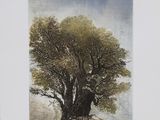 une image représentant un tableau d'un arbre sur une colline