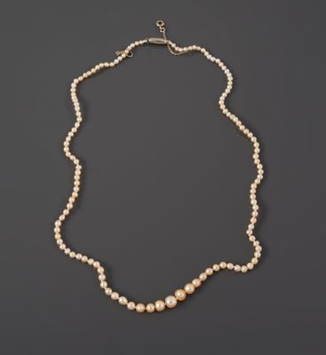 a white pearl necklace with a gold clasp on a black background