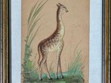 tableau représentant une girafe debout dans l'herbe, dans un cadre