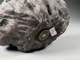 an image of a sculpture of a rock with a button on it