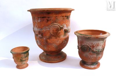 trois vases posés l'un à côté de l'autre sur une surface blanche