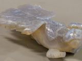 a plastic animal that is sitting on a table