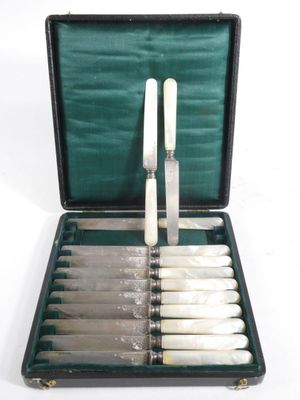 a case with a set of knives in it