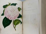 an open book with a pink flower on it sitting on a table