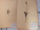 un livre sur lequel figure l'image d'une fleur