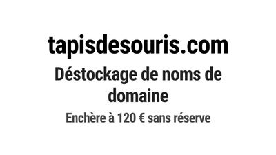 Nom de domaine tapisdesouris.com.