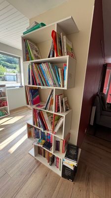 une bibliothèque remplie de livres dans une pièce