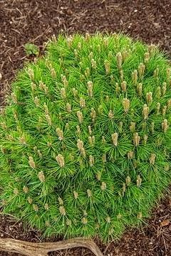 Destockage & Invendus