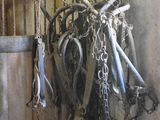 a horse stall with a bunch of horses hanging from it ' s hooks
