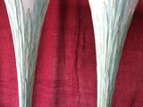 pair of art nouveau style vases on a red velvet background