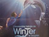 affiche du film « L'hiver du dauphin », représentant un dauphin bondissant hors de l'eau