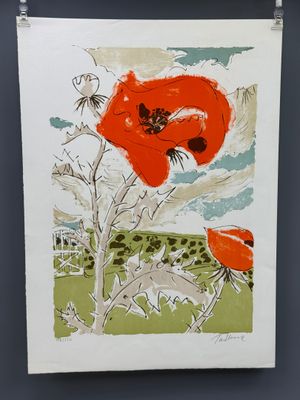l'image d'une photo représentant une fleur rouge sur fond blanc