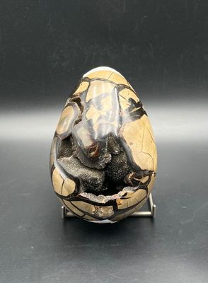 an image of a gold and black stone ring on a stand