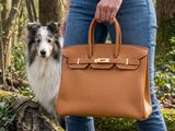 someone is holding a brown and white dog and a brown and white bag