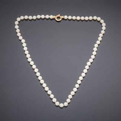 a white pearl necklace with a gold clasp