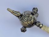 a small silver turtle with a horn on it ' s head