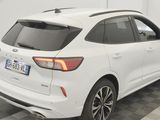 the rear end of a white 2020 ford escape