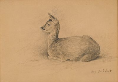 dessin représentant un cerf couché par terre, la tête tournée sur le côté