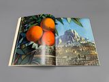 an open book with a picture of oranges on it