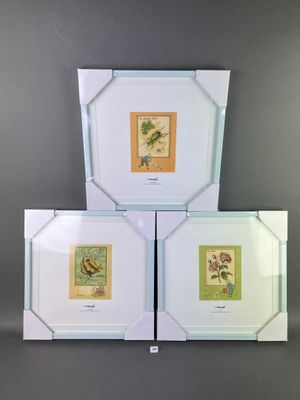 three framed pictures of birds and flowers are displayed on a wall