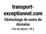 Photo 1/1 du lot