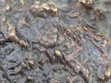 a close up of a metal object with a coin on it