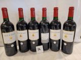 six bottles of red wine are lined up on a table