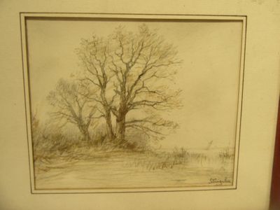 a picture of a drawing of a tree in a field