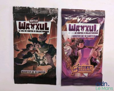 Lot de 2 boosters Wankul - Laink et Terracid