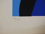 an image of a picture of a blue and black square
