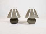 une paire de lampes de table en verre gris sur fond blanc