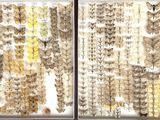a picture of a window with a lot of bugs on it