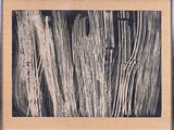 an image of a black and white photo of a wooden fence