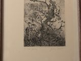two framed pictures of birds on a tree branch in a wood frame