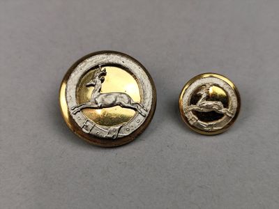 a pair of gold and silver buttons with a horse on them