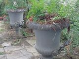 de nombreuses plantes en pot qui sont posées au bord de la route